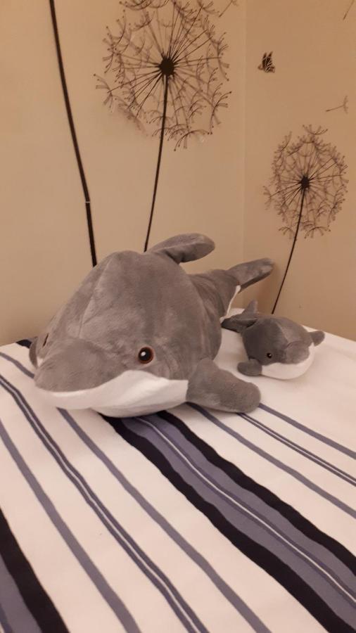 Waw Vakantie Appartement ミデルケルケ エクステリア 写真